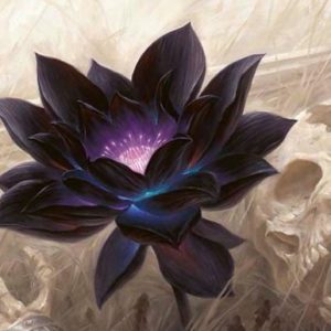 Black Lotus x 2